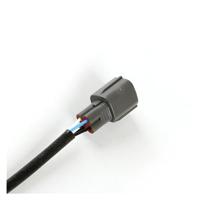 Kornoelje op stam - thumbnail