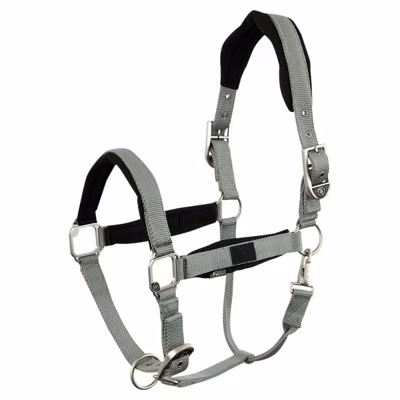 BR Halster Ilse lichtgroen maat:full