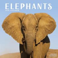 Elephants Calendar 2026 Square Wildlife Safari Wall Calendar - 16 Month - thumbnail