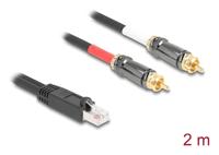 Abi Rj45 naar rca adapterkabel - thumbnail