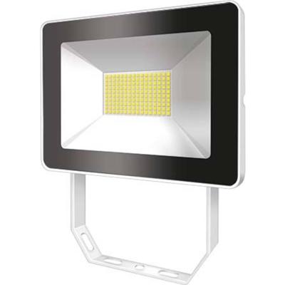 ESYLUX OFLBASICLED30W 3K WH EL10810824 LED-buitenschijnwerper 30 W Lichtkleur (naam): Wit