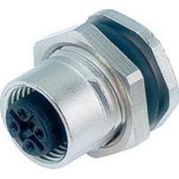 binder 86 0532 1002 00004-20 Sensor/actuator connector, niet geassembleerd Aantal polen (sensoren): 4 Bus, recht, Flensbus 1 stuk(s) - thumbnail