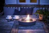 Carnation MgO 90 - thumbnail