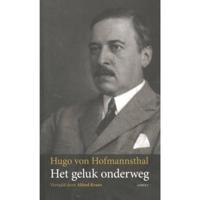 Het geluk onderweg (Paperback) - thumbnail