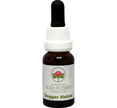 Australian Bush Dagger hakea 15 Milliliter