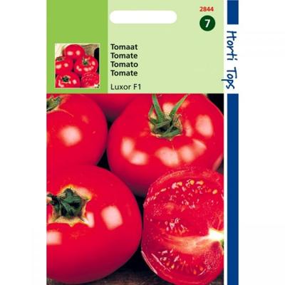 Zaden Tomaten Celebration (vh Luxor) F1 Hortitops - Hortitops Zaden Tomaten Celebration (vh Luxor) F1 Hortitops - Hortitops