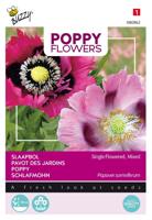 Papaver poppies of the world s 1g - thumbnail