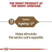 Royal Canin C-584987 AGE +12-2 kg - thumbnail