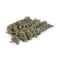 Yeowww! Catnip Buds - thumbnail