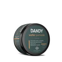 Dandy Water Pomade 100ml - thumbnail