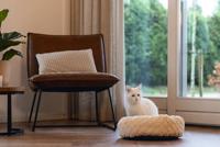 Beeztees Ligmand levisa plush Beige 43x43x13cm - thumbnail