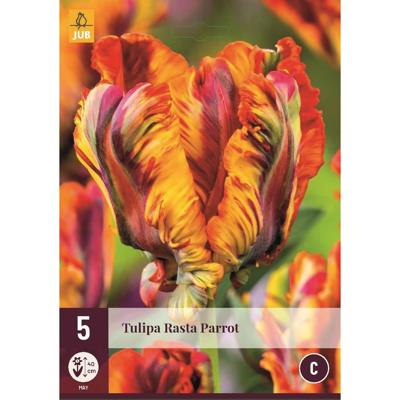 Tulp rasta parrot 5 bollen