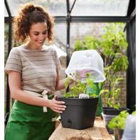 Elho green basics growpot square all-in-1 living black 20 - thumbnail