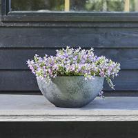 Buiten schaal nova 25 beton grijs - thumbnail