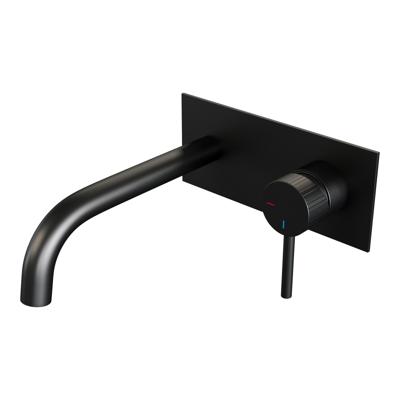 Brauer Stripe inbouw wastafelmengkraan met gebogen uitloop en afdekplaat model A1 mat zwart