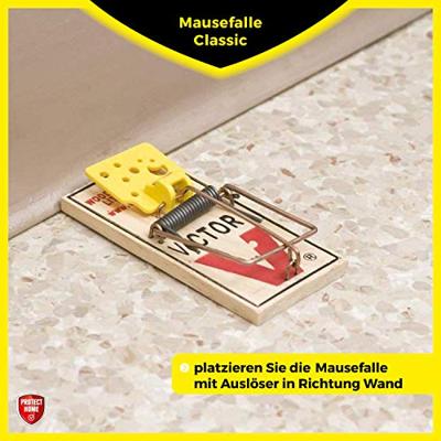 Muizenval Hout 2st - thumbnail