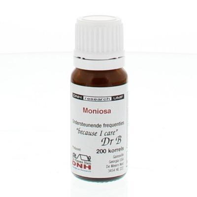 DNH Moniosa 200 Stuks