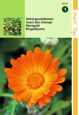 Zaden Calendula Akkergoudsbloem Hortitops - Hortitops