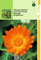 Zaden Calendula Akkergoudsbloem Hortitops - Hortitops - thumbnail