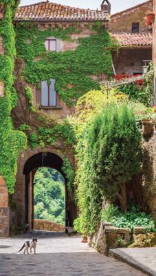 Klimop poes 70x130cm Tuinschilderij Customize-it - Customize it