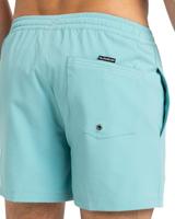 Quicksilver Everyday Surfwash Volley 15" Zwembroek - thumbnail