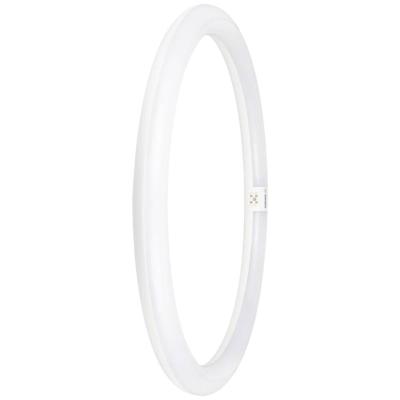OSRAM HOMELIGHTING LED-buis-Ring Energielabel: E (A - G) G10q 24 W = 40 W Koudwit 1 stuk(s) (Ø x l) 400 mm x 400 mm