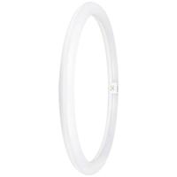 OSRAM HOMELIGHTING LED-buis-Ring Energielabel: E (A - G) G10q 24 W = 40 W Koudwit 1 stuk(s) (Ø x l) 400 mm x 400 mm - thumbnail