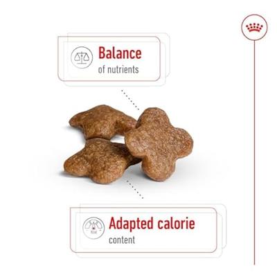 Royal Canin canin mini adult +8