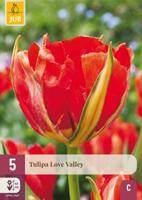 Tulp love valley 5 bollen - thumbnail