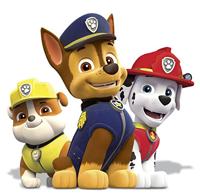 Educatief Spel Ravensburger memory Paw Patrol - thumbnail
