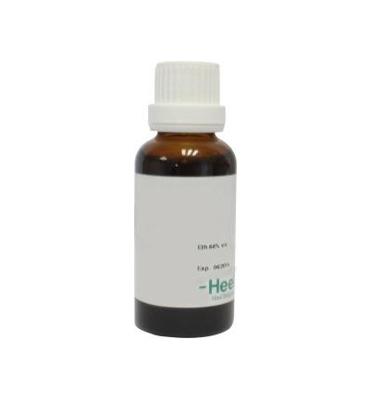 Hypericum perforatum phyto