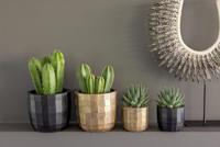 Pot bol blocks d14h13cm zwart/goud - thumbnail