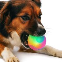 Nobleza Hondenspeelgoed - Bal met licht - 6,5 cm - thumbnail