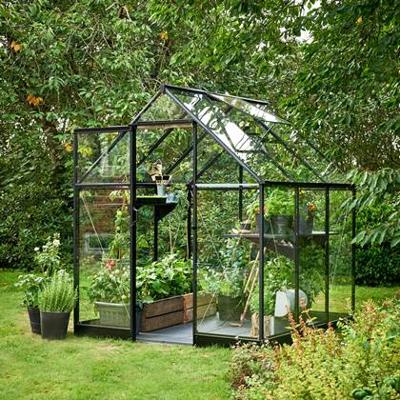 Tuinkas Qube 66 zwart gecoat van veiligheidsglas 3mm - Royal well