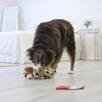 KONG COMFORT PUPS SPOT 23X11,5X14 CM - thumbnail