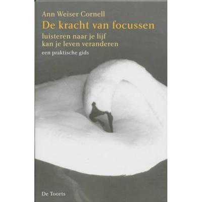 De kracht van focussen (Paperback)