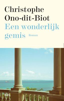 Een wonderlijk gemis - Christophe Ono-Dit-Biot - Paperback (9789463930161) Een wonderlijk gemis - Christophe Ono-Dit-Biot - Paperback (9789463930161)