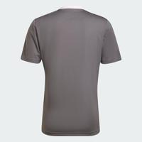 adidas Entrada 22 Voetbalshirt Grijs Wit - thumbnail