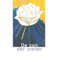De Zon der Zielen - Anne Stock - Paperback (9789077944165) - thumbnail