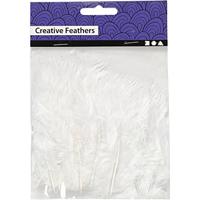 Creativ Company Dons, afm 5-12 cm, wit, 15 stuk/ 1 doos - thumbnail