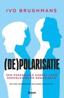 (De)polarisatie - Ivo Brughmans - ebook - thumbnail