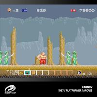 Evercade Windjammers, Karnov & Friends - thumbnail