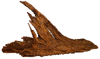 Driftwood Ss aquaria SuperFish - Superfish - thumbnail