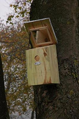 Spiegelnestkast Best for Birds - Best for birds