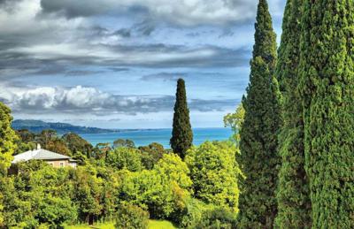 Cypressen 140x90cm Tuindoek Customize-it - Customize it