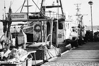 Wolfen NP100 135/36 - thumbnail