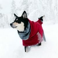 Hurtta Extreme Warme winterjas voor honden, 35 cm, bordeauxrood - thumbnail