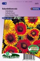 Gaillardia Aristata zaden Choice dekenbloem - thumbnail