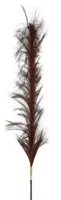 Countryfield kunsttak pluim m bruin 112 cm | 24 stuks - thumbnail