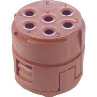 EPIC Signal M23 inzetstukken, 6-polig 73002766 Lapp Zubehör LAPP Inhoud: 5 stuk(s) - thumbnail